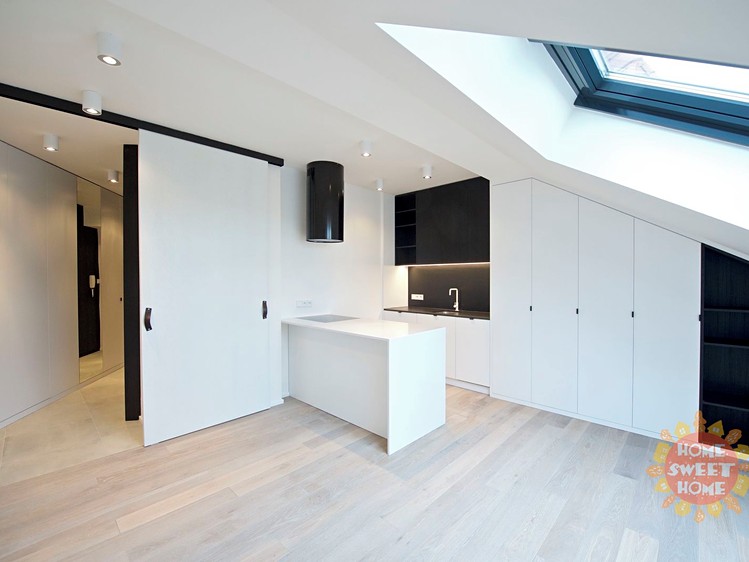 Pronájem bytu 1+kk 39 m² (Podkrovní) - foto 8