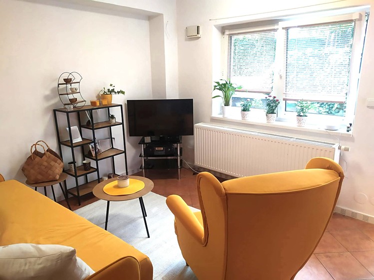 Pronájem bytu 1+kk 40 m² (Jednopodlažní) - foto 2