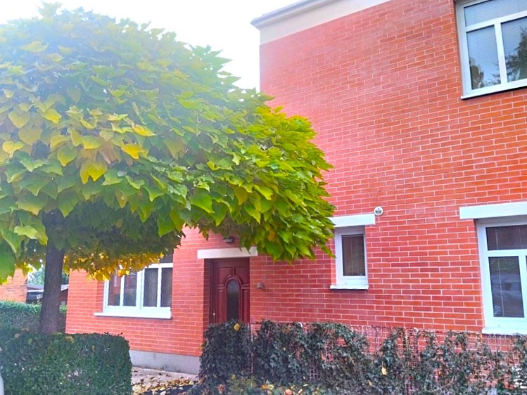 Pronájem bytu 1+kk 40 m² (Jednopodlažní) - foto 1
