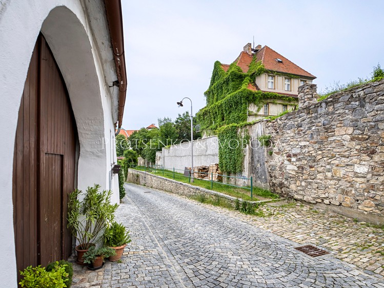 Prodej vily 469 m², pozemek 874 m² - foto 4