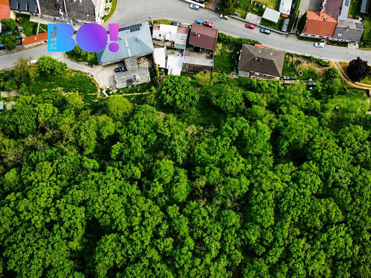 Prodej zahrady 2 495 m² - foto 2
