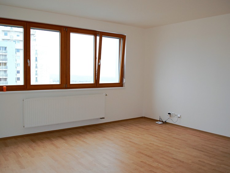 Pronájem bytu 1+kk 35 m² (Jednopodlažní) - foto 4