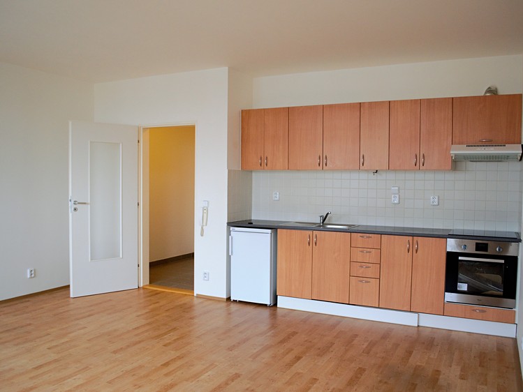 Pronájem bytu 1+kk 35 m² (Jednopodlažní) - foto 1