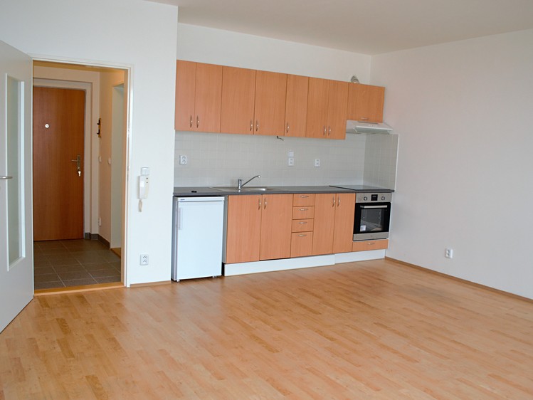 Pronájem bytu 1+kk 35 m² (Jednopodlažní) - foto 2