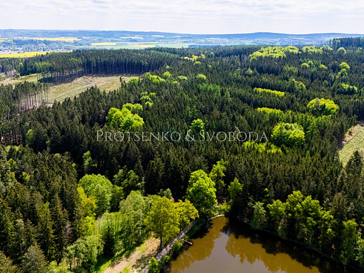 Prodej rodinného domu 135 m², pozemek 9 556 m² - foto 5