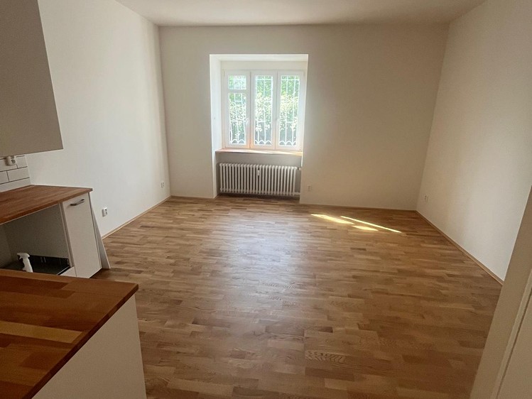 Prodej bytu 1+kk 30 m² (Jednopodlažní) - foto 2