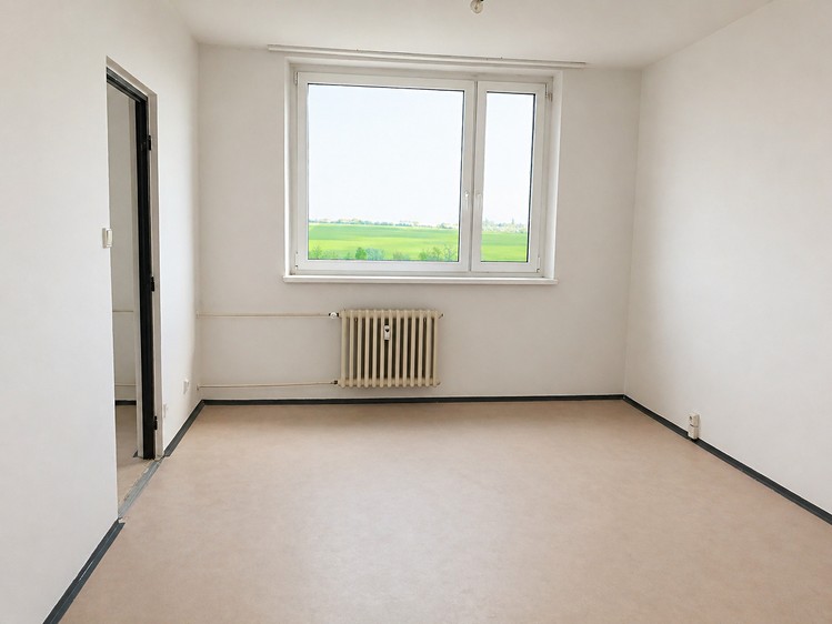 Pronájem bytu 2+1 55 m² (Jednopodlažní) - foto 4