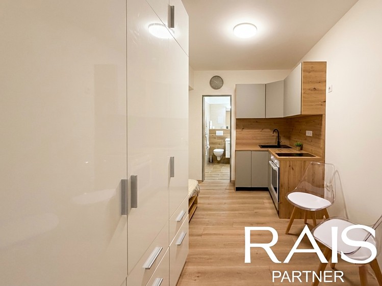 Pronájem bytu 1+1 26 m² (Jednopodlažní) - foto 3
