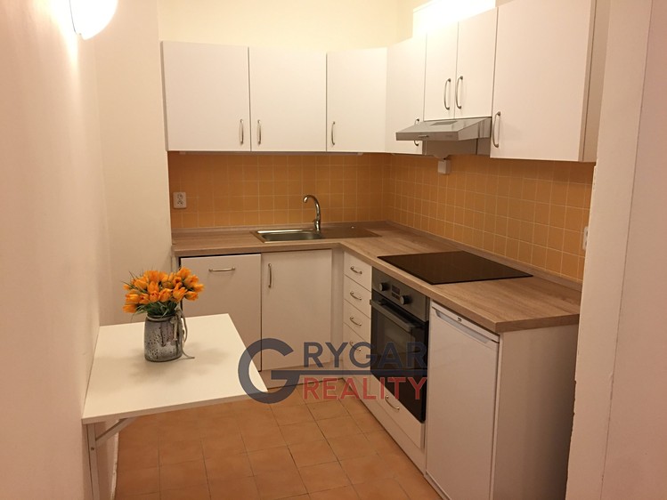 Pronájem bytu 1+1 42 m² (Jednopodlažní) - foto 4