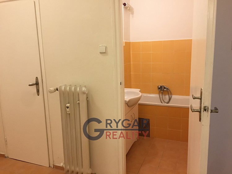 Pronájem bytu 1+1 42 m² (Jednopodlažní) - foto 8