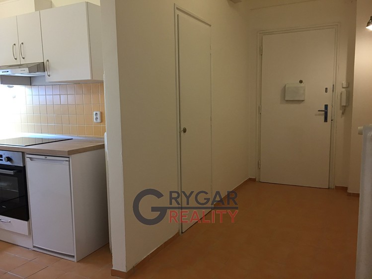 Pronájem bytu 1+1 42 m² (Jednopodlažní) - foto 6
