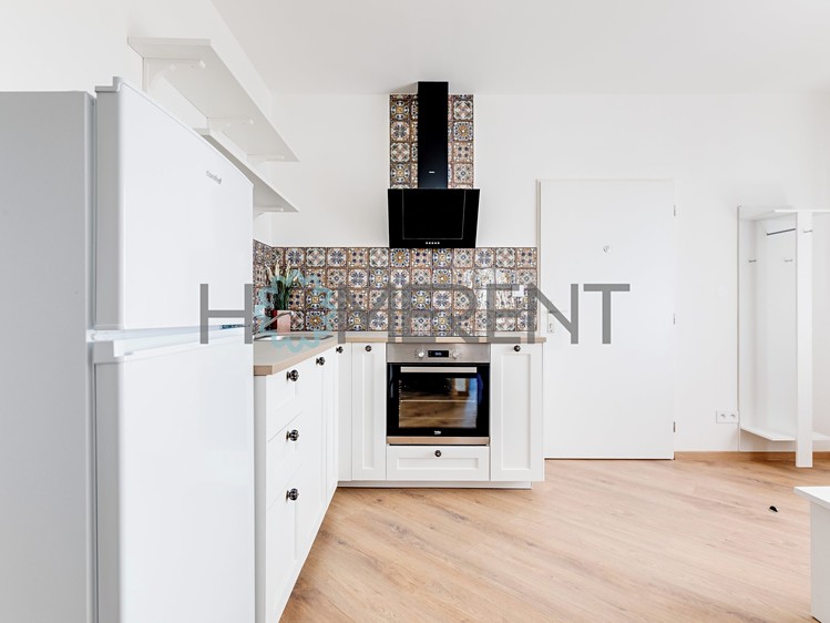 Pronájem bytu 2+1 40 m² (Jednopodlažní) - foto 8