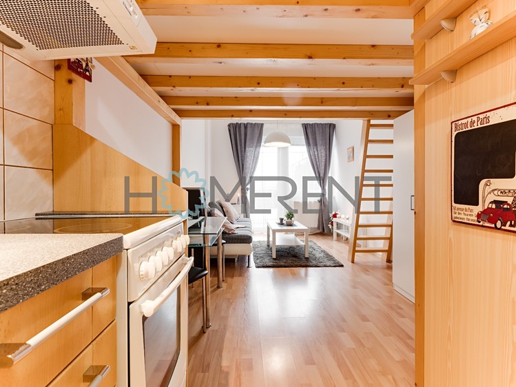 Pronájem bytu 1+kk 28 m² (Loft) - foto 4