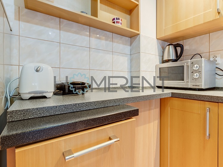 Pronájem bytu 1+kk 28 m² (Loft) - foto 8
