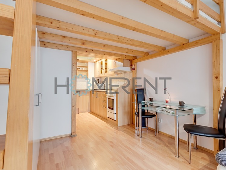 Pronájem bytu 1+kk 28 m² (Loft) - foto 7