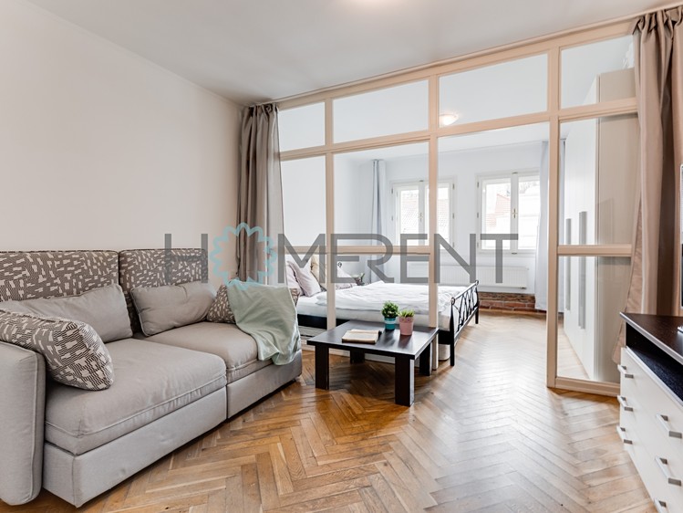 Pronájem bytu 1+1 45 m² (Jednopodlažní) - foto 8