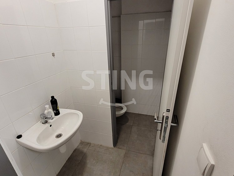 Pronájem obchodního prostoru 254 m² - foto 5