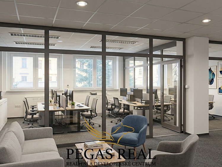 Pronájem kanceláře 177 m² - foto 6