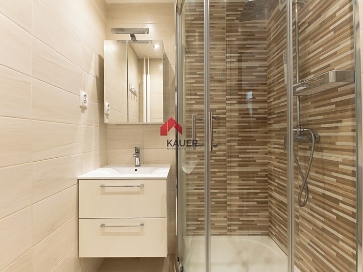 Prodej bytu 3+1 58 m² - foto 5