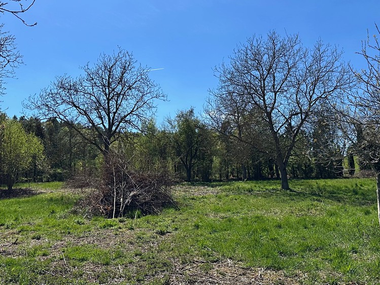 Prodej stavebního pozemku 2 807 m² - foto 4