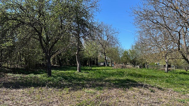 Prodej stavebního pozemku 2 807 m² - foto 6