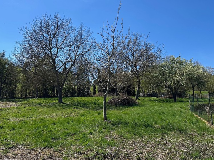 Prodej stavebního pozemku 2 807 m² - foto 5