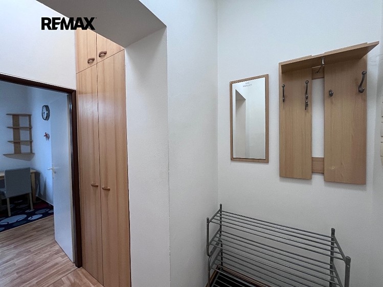 Prodej bytu 1+1 40 m² (Jednopodlažní) - foto 7