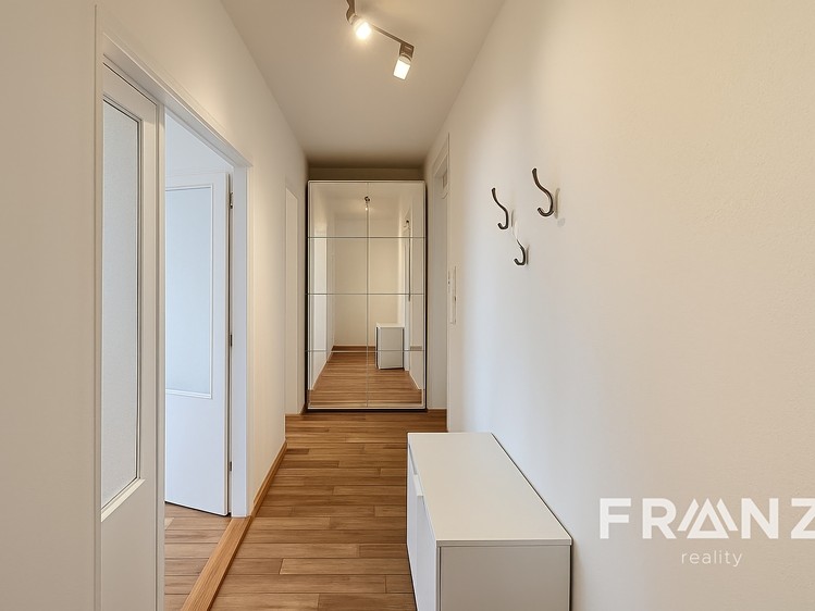 Pronájem bytu 2+1 55 m² (Jednopodlažní) - foto 4