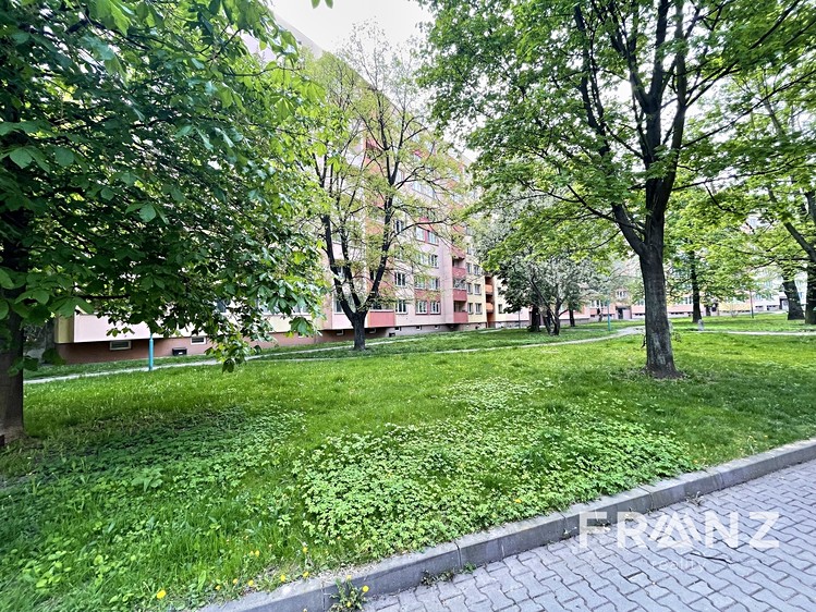 Pronájem bytu 1+1 37 m² (Jednopodlažní) - foto 8