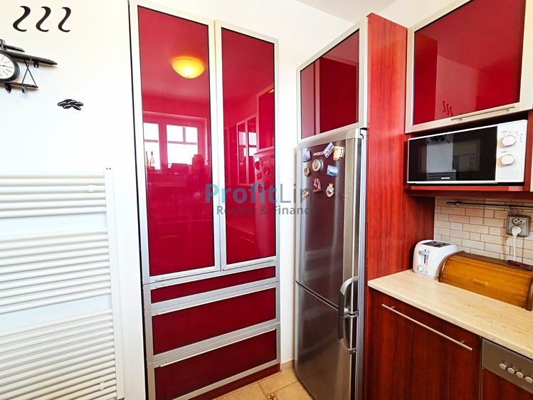Pronájem bytu 1+1 65 m² - foto 4