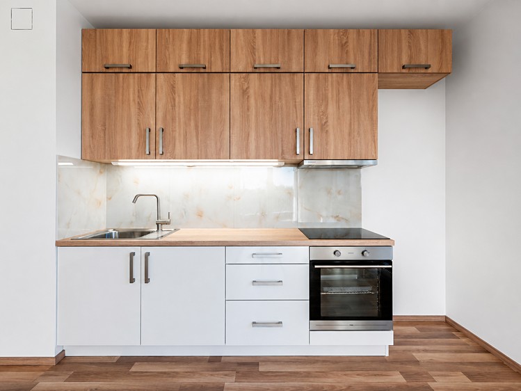 Pronájem bytu 3+kk 70 m² (Jednopodlažní) - foto 4