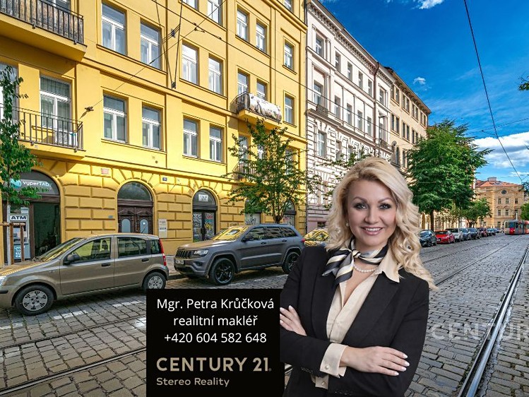 Pronájem bytu 1+1 42 m² - foto 1