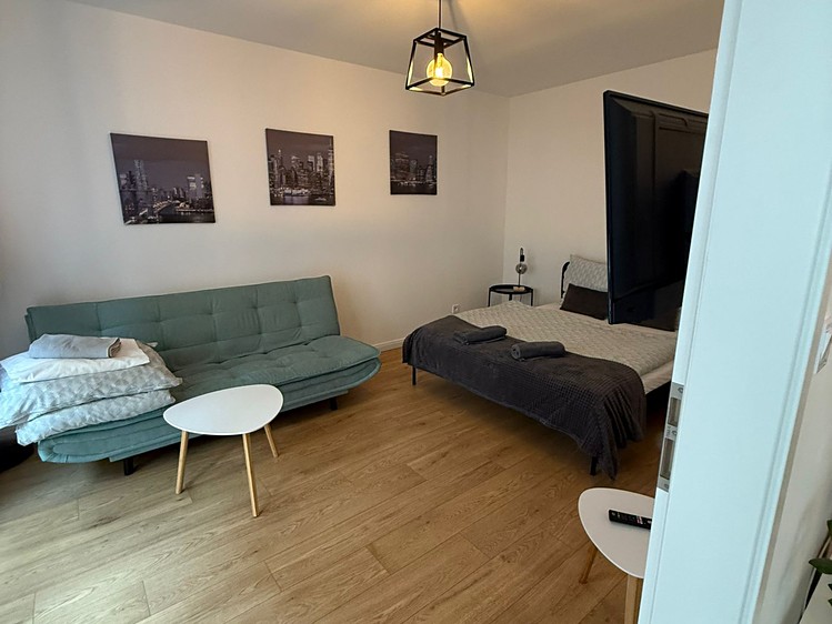 Prodej bytu 2+kk 45 m² (Jednopodlažní) - foto 8