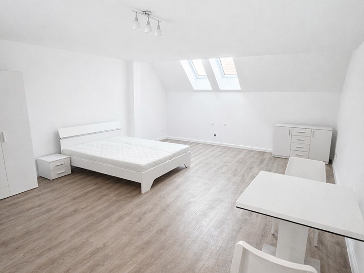 Prodej bytu 1+kk 47 m² (Jednopodlažní) - foto 4