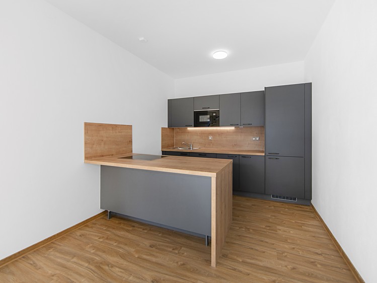 Pronájem bytu 1+kk 56 m² (Jednopodlažní) - foto 5