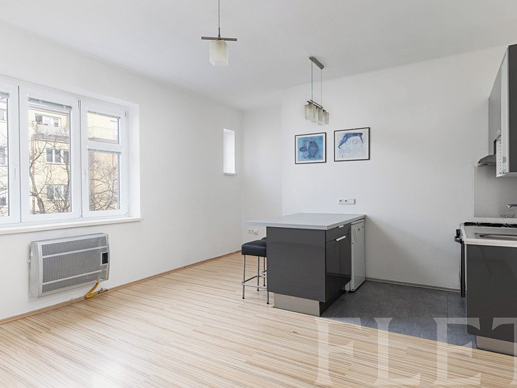 Prodej bytu 1+kk 28 m² (Jednopodlažní) - foto 4