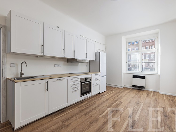 Prodej bytu 1+1 55 m² - foto 1