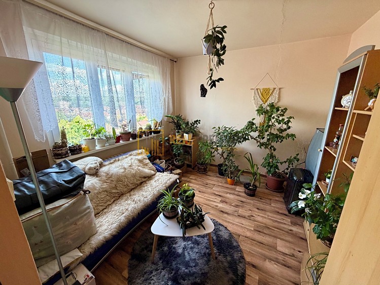 Prodej bytu 3+1 58 m² - foto 5