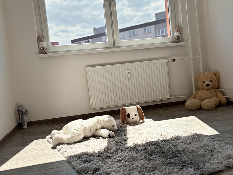 Prodej bytu 3+1 73 m² - foto 1