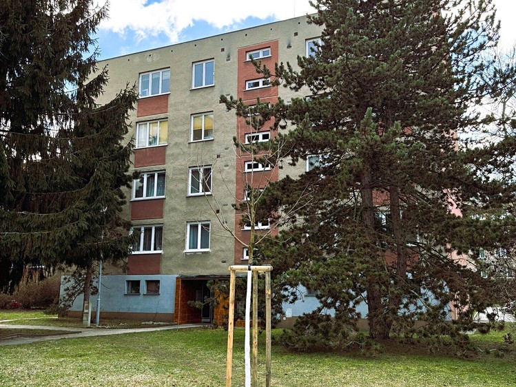 Pronájem bytu 3+1 68 m² - foto 3