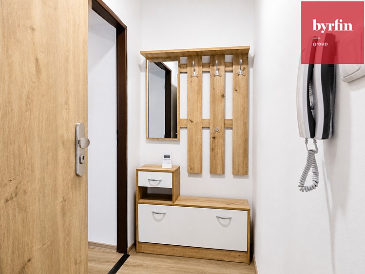 Pronájem bytu 2+1 56 m² - foto 8
