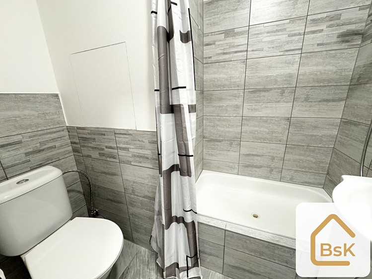 Pronájem bytu 1+1 39 m² (Jednopodlažní) - foto 8