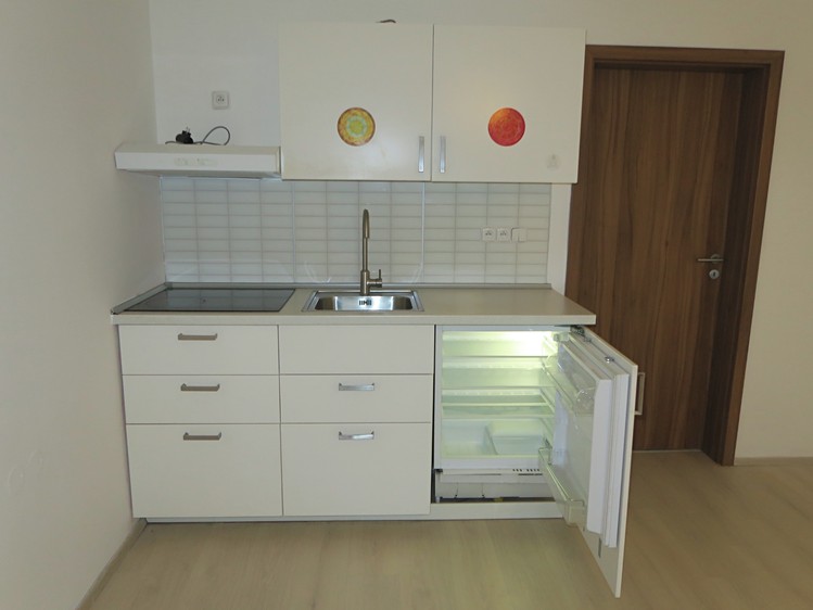 Pronájem bytu 1+kk 32 m² - foto 5