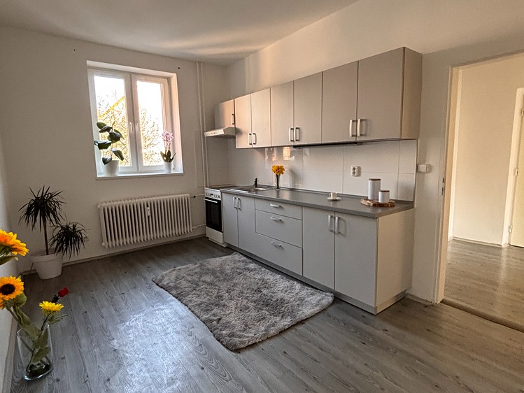 Pronájem bytu 1+1 50 m² - foto 4