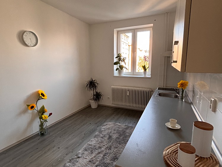 Pronájem bytu 1+1 50 m² - foto 3
