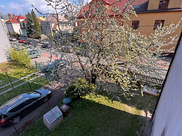 Pronájem bytu 1+1 50 m² - foto 8