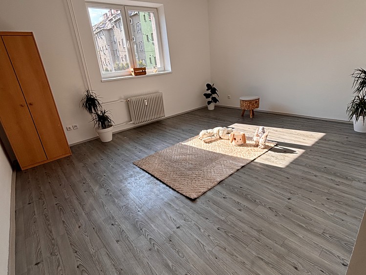 Pronájem bytu 1+1 50 m² - foto 5