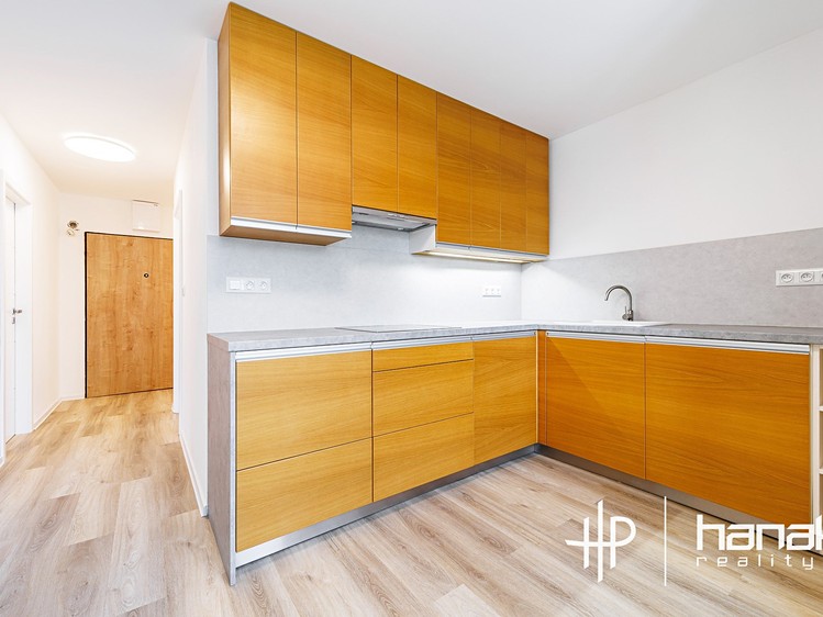 Pronájem bytu 2+1 62 m² - foto 8