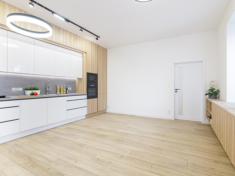Pronájem bytu 2+kk 47 m² (Jednopodlažní) - foto 4