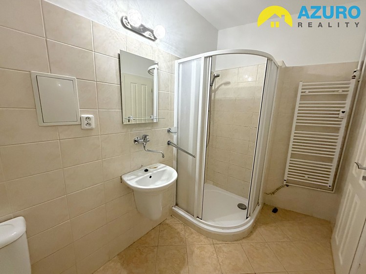 Pronájem bytu 1+1 40 m² - foto 3
